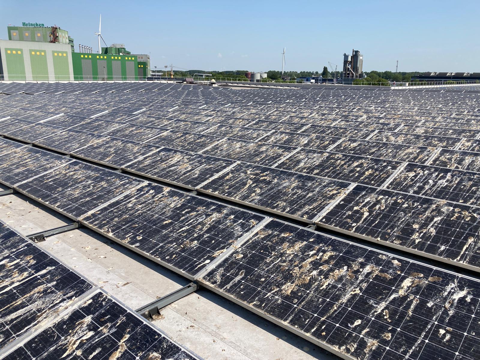 Afbeelding vervuilde zonnepanelen