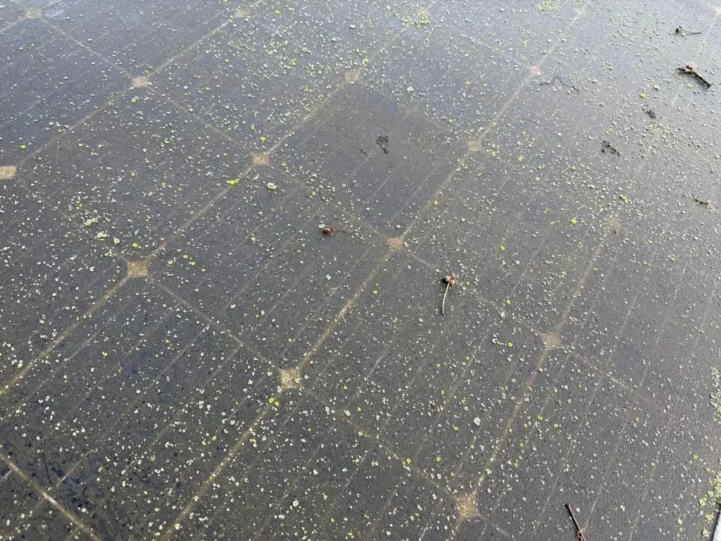 Reiniging PEG zonnepanelen SolarWash 3