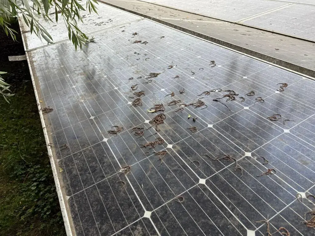 Reiniging PEG zonnepanelen SolarWash 6